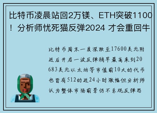 比特币凌晨站回2万镁、ETH突破1100！分析师忧死猫反弹2024 才会重回牛市